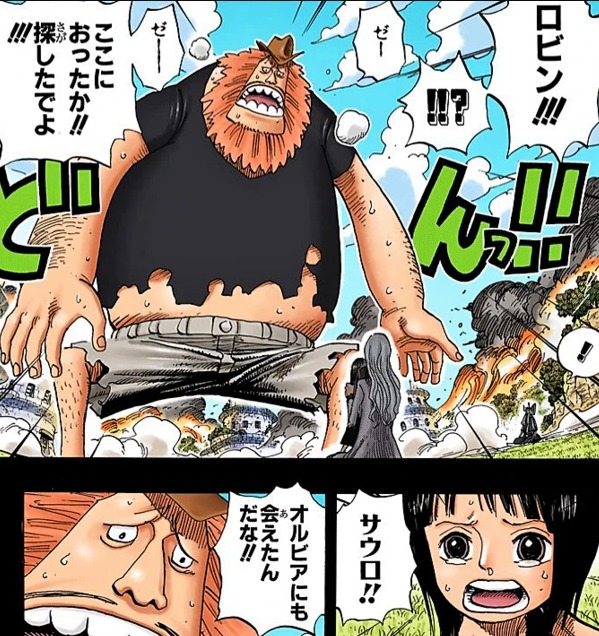 ワンピースサウロロビン】PSA10]ワンピース ウエハースカード ロビン